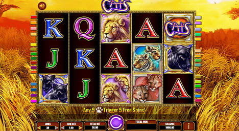 Cats Online Slot Game