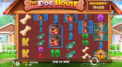 Dog House Megaways Online Slot Game