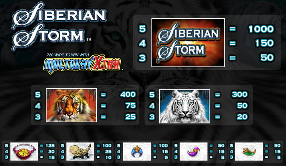 Paytable & Symbols of Siberian Storm Online Slot Game